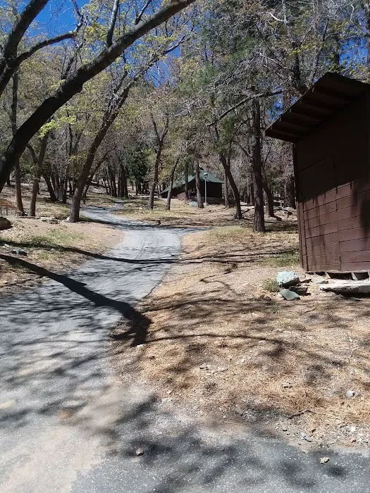 Lions Camp at Wrightwood 6