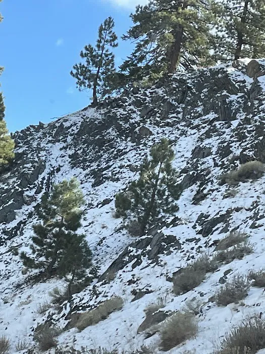 Lions Camp at Wrightwood 5