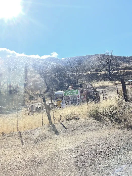 Lions Camp at Wrightwood 4