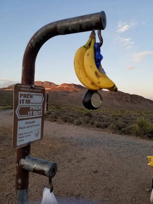 Horse Springs Camp 8