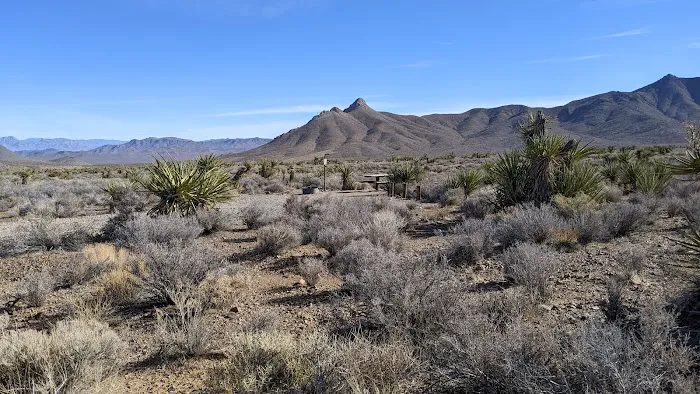 Horse Springs Camp 4