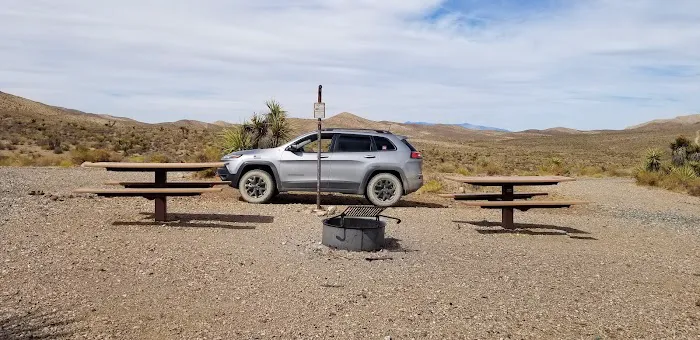 Horse Springs Camp 2