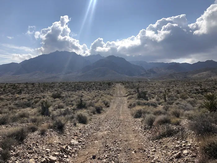 Horse Springs Camp 3