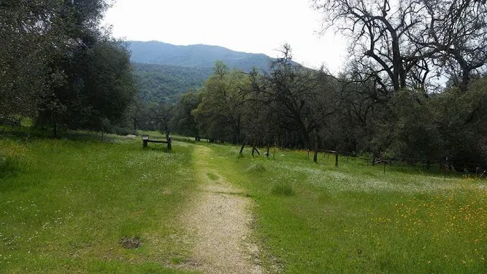 Leavis Flat Campground 1