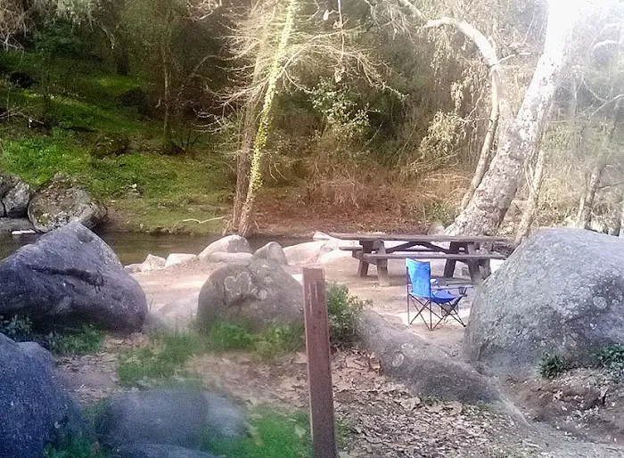 Leavis Flat Campground 7