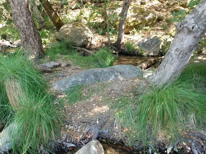 Leavis Flat Campground 5