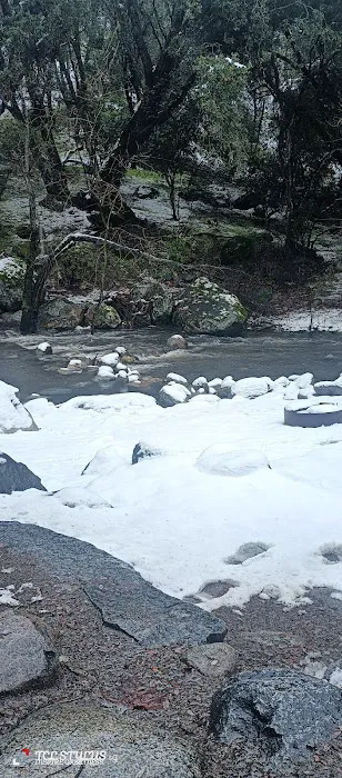 Leavis Flat Campground 2