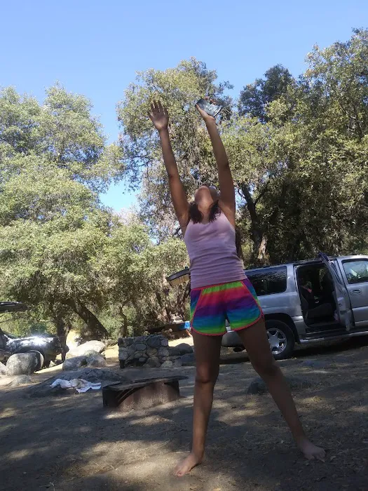 Leavis Flat Campground 8