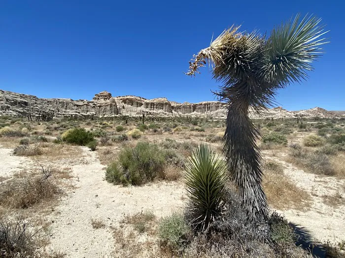 Ricardo Campground 6