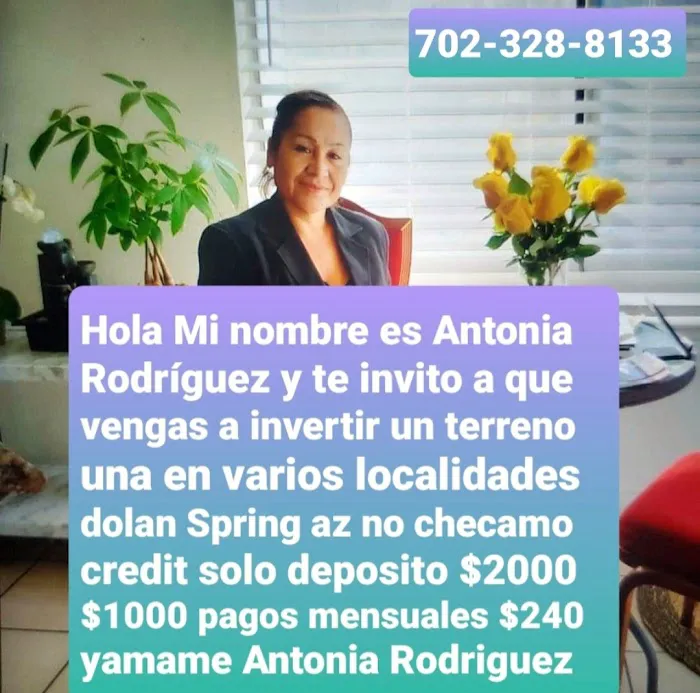 Terreno acres Antonia Rodriguez 5