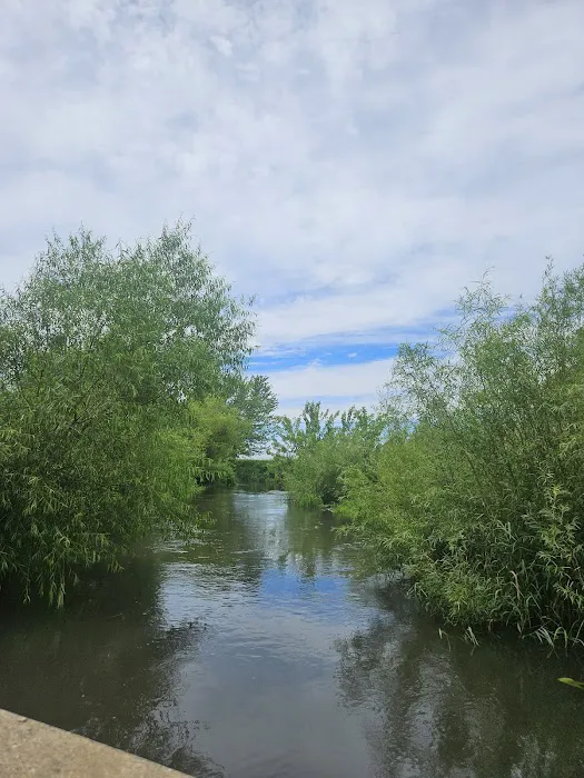 Grundy County Lake Campground 3