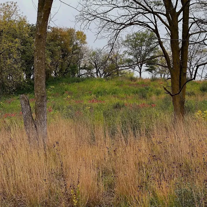 Arrowhead Park 5