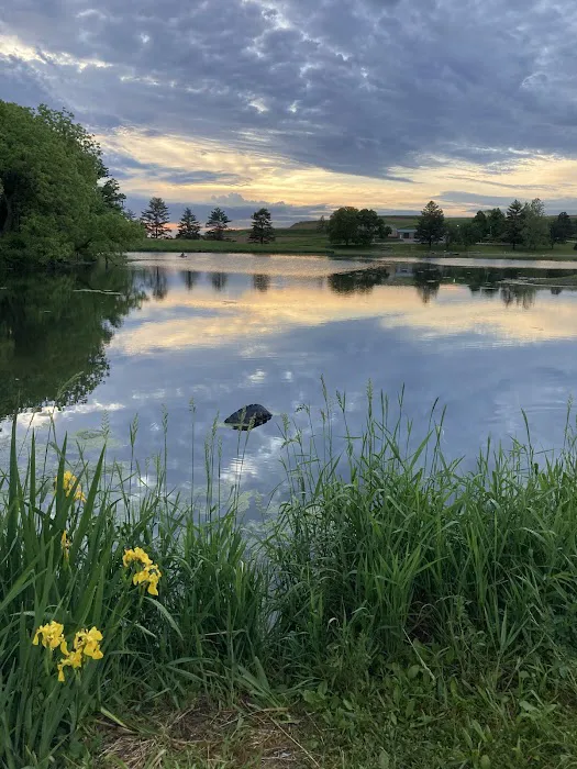 Arrowhead Park Campground 4 1