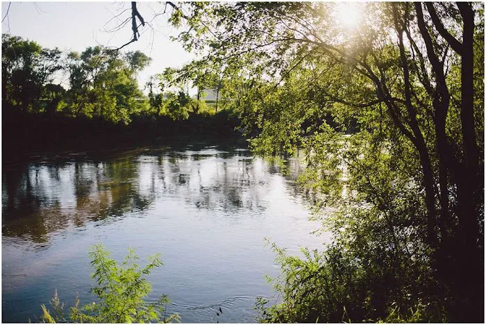 Elkhorn Shores 8
