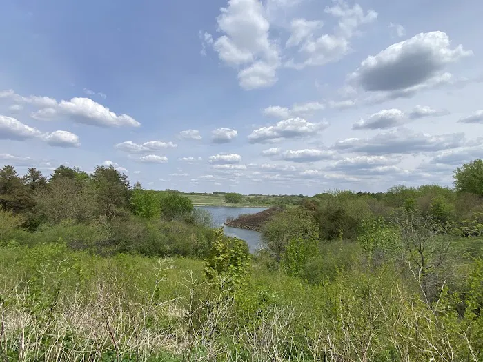 Dog Creek Park - South Campground 2