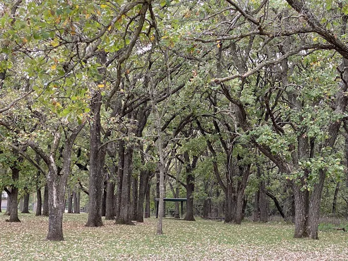 North Shelter Area Campground 9