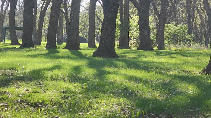 North Shelter Area Campground 6