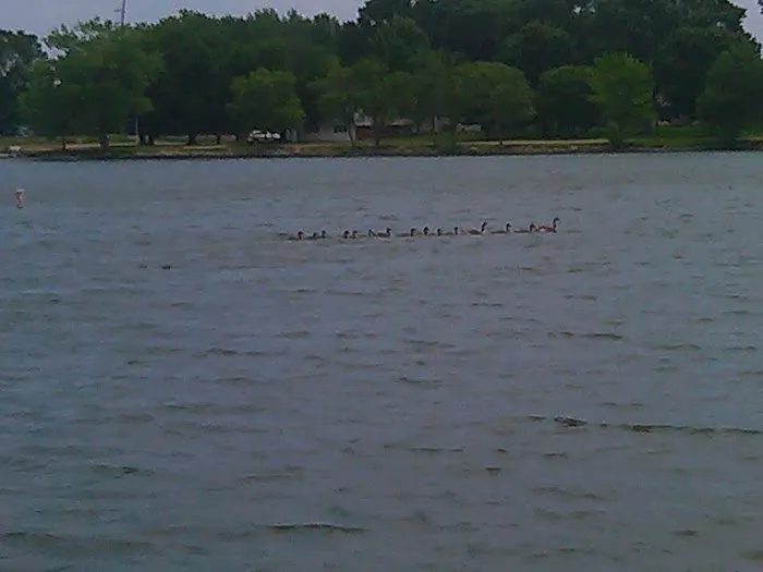 Kearny Park Campground 1