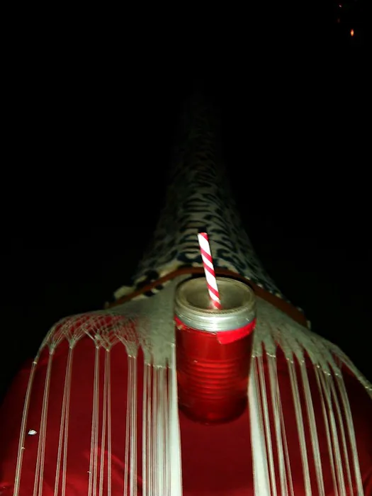 Kearny Park Campground 4