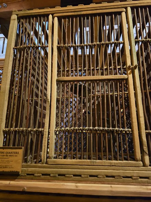 Noahs Ark 7