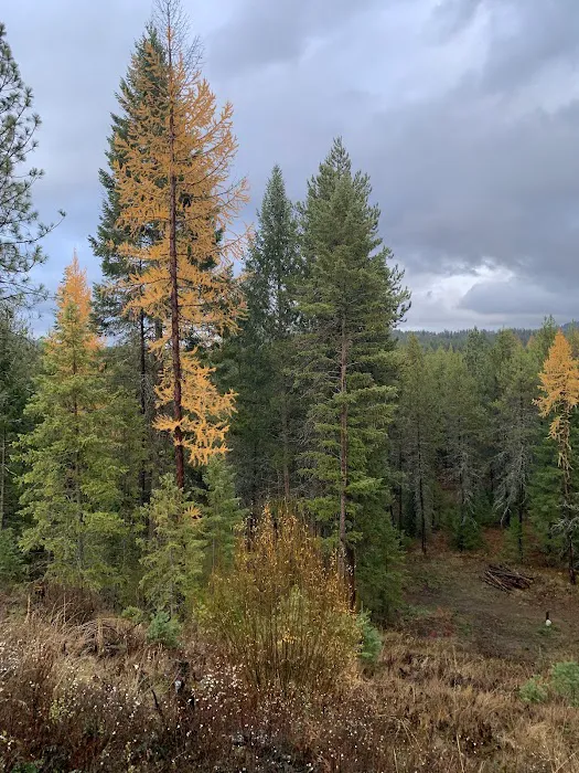 Dragonfly Ranch 3
