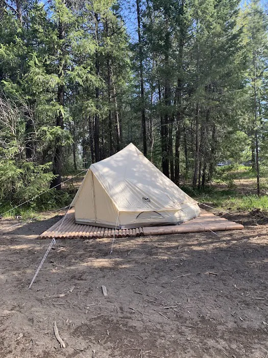 Dragonfly Ranch 4