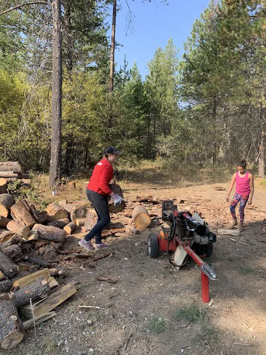 Dragonfly Ranch 7