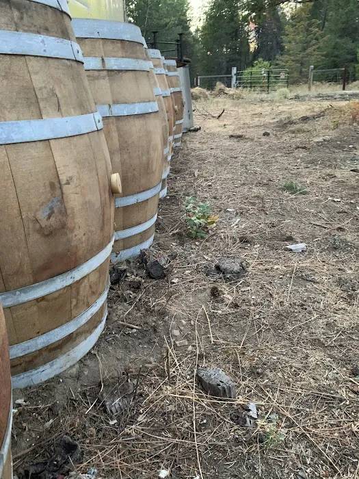 Dragonfly Ranch 5