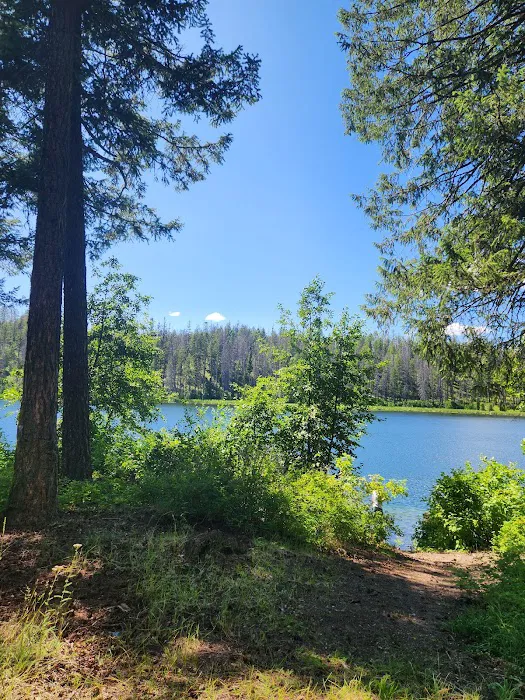Ferry Lake Campground 2