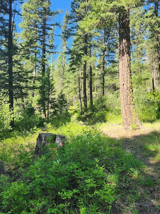 Ferry Lake Campground 1