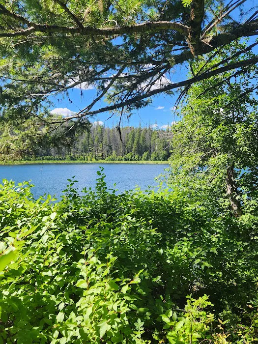 Ferry Lake Campground 0