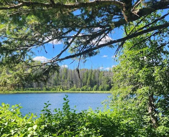 Ferry Lake Campground