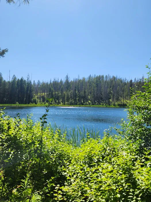 Ferry Lake Campground 5