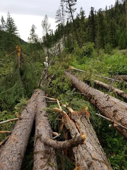 Beaver Lake Campground 3