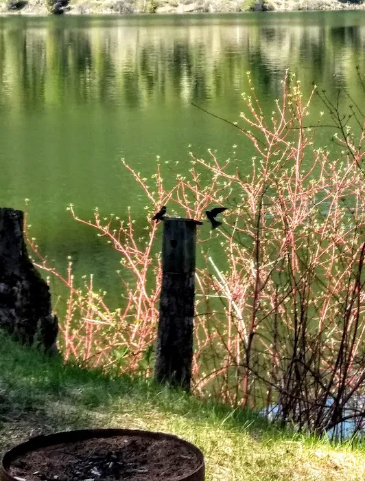 Beaver Lake Campground 6