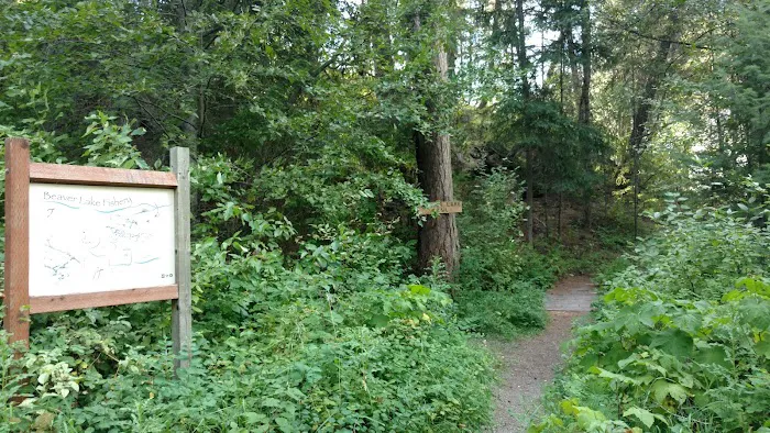 Beaver Lake Campground 8