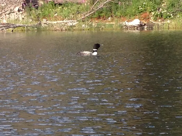 Long Lake Campground 6
