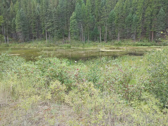 Beth Lake Campground 7