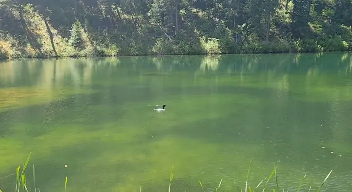 Beth Lake Campground 5