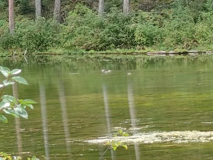 Beth Lake Campground 3