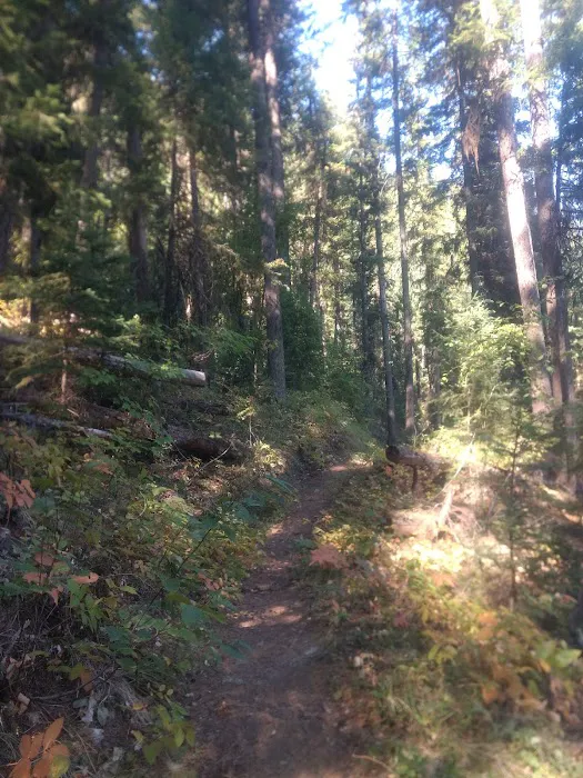 Beth Lake Campground 1
