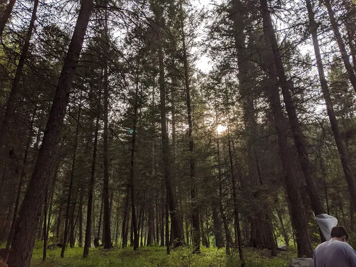 Bonaparte Lake Campground 6
