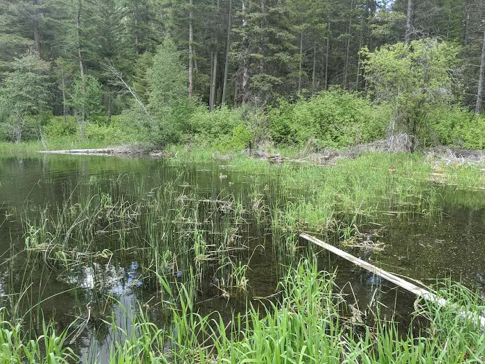 Bonaparte Lake Campground 7