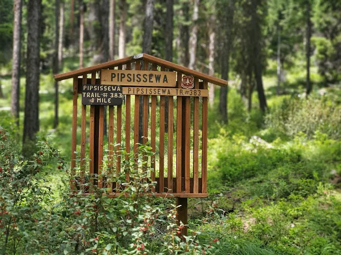 Bonaparte Lake Campground 9