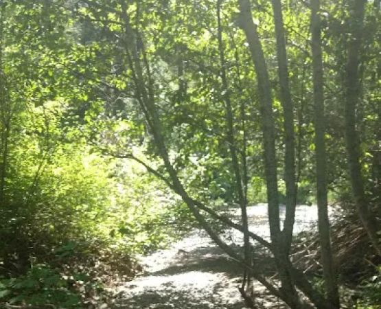 Twentyone Mile Campground