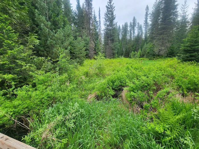 Plowboy Campground 1