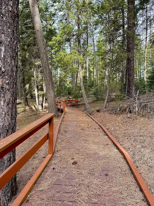 Pioneer Park Campground 3