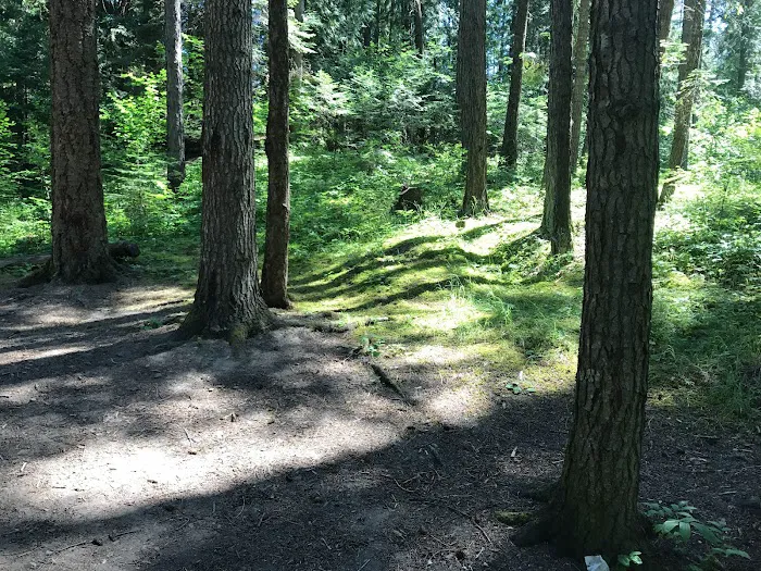 Pioneer Park Campground 0