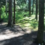 Pioneer Park Campground