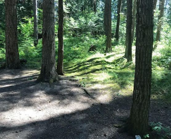 Pioneer Park Campground